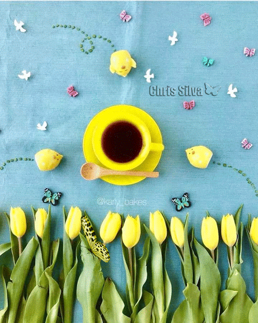 Good Morning Gif